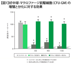 【図1】好中球-マクロファージ前駆細胞（CFU-GM）の増殖と分化に対する効果
